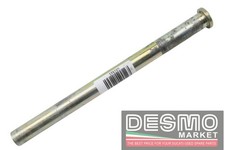 Perno telaio forcellone Ducati