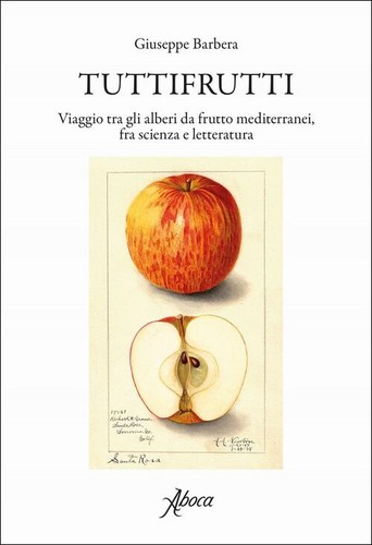 Tuttifrutti viaggio tra - viaggio, gli