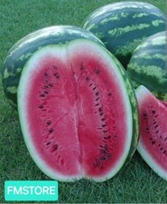 50 SEMI DI ANGURIA CRIMSON