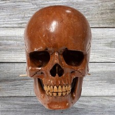 Realistico Umano Teschio IN Legno Replica Snodato Jaw Scheletro Testa Halloween