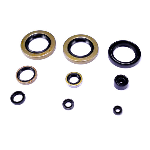 Set guarnizioni motore - guarnizioni,