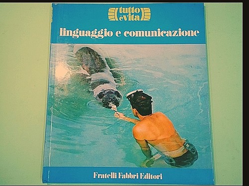 Linguaggio comunicazione - e,