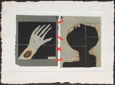 James COIGNARD Femme du monde