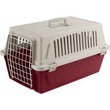 Trasportino per cani - trasportino,