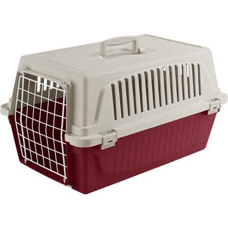 Trasportino per cani gatti - trasportino,