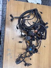 impiato elettrico   triumph