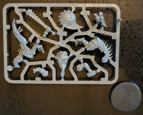 Warhammer aos seraphon - seraphon, /