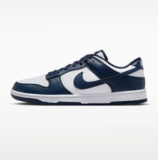 Nike Dunk Low Retro Bianco Blu