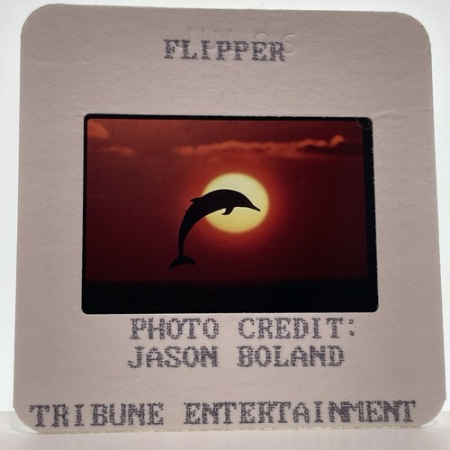 Flipper diapositiva 35mm anni