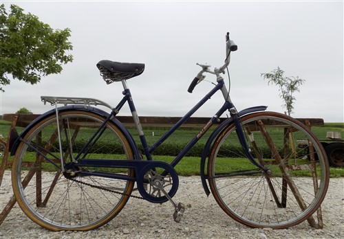 1970 raleigh sports - raleigh,