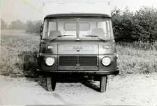 14588 Foto Originale Di Un