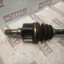 96396119 Semialbero ant