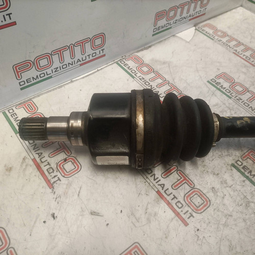 96396119 semialbero ant - semialbero,