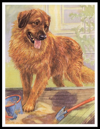 Leonberger lovely dog poster - leonberger,