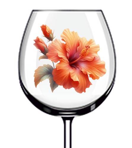 12x fiore ibisco - 12x, colorato