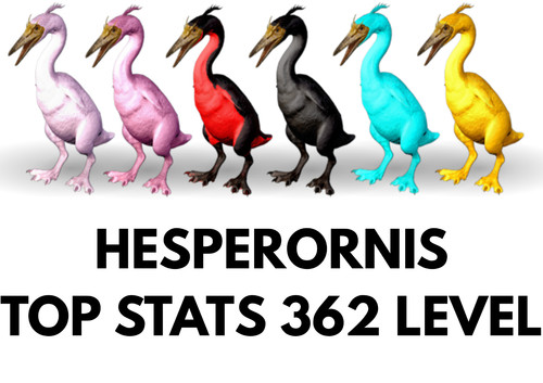 Hesperornis 362 level top - hesperornis,
