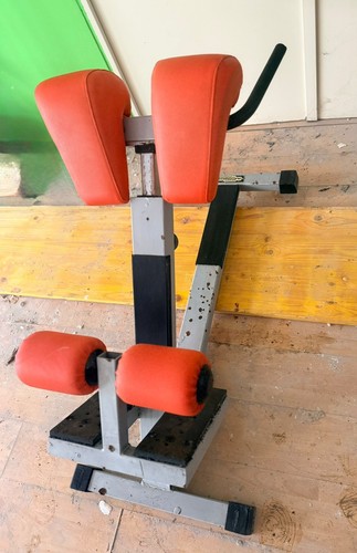 Panca lower back technogym - panca,