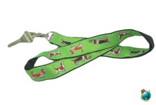 Basset Segugio Cordoncino