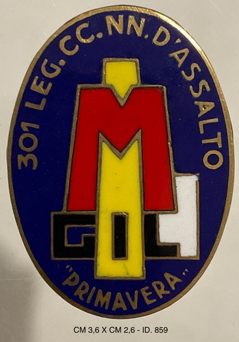 301a legione nn - 301a, cc.nn