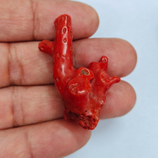 Ramo corallo rosso - corallo,