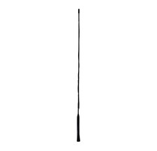 Antenna Bad Blankenburg asta