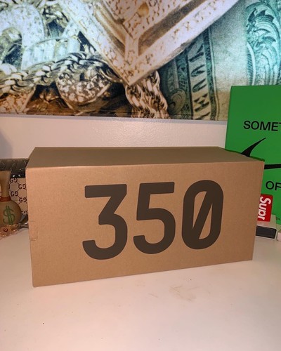 Yeezy boost 350 cmpct - yeezy,