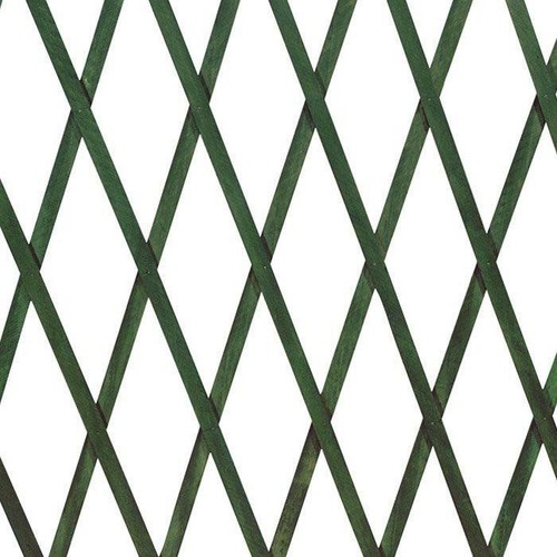 Traliccio legno verde - in,