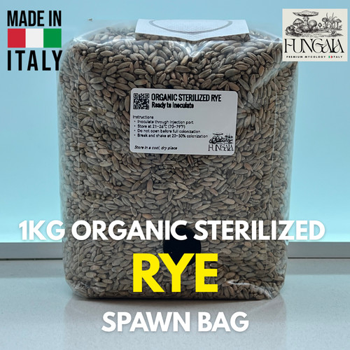 1kg segale bio sterilizzata - 1kg,
