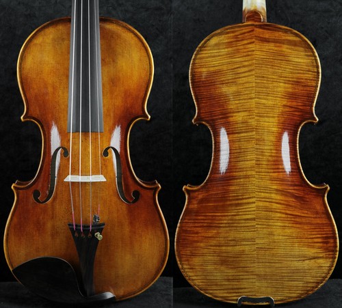 Violino professionale fatto - , a