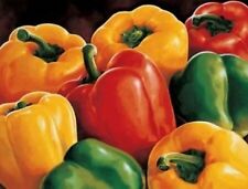 100 SEMI MIX-DI PEPERONE GIGANTE