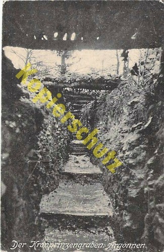 Cartolina militare argonne - cartolina,