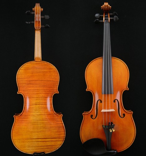 Violino posteriore - 1,