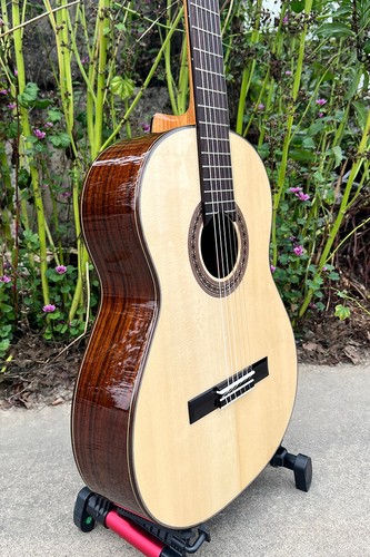 Video chitarra classica - chitarra,