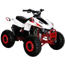 Mini Quad EGL Niko 110cc Ruota