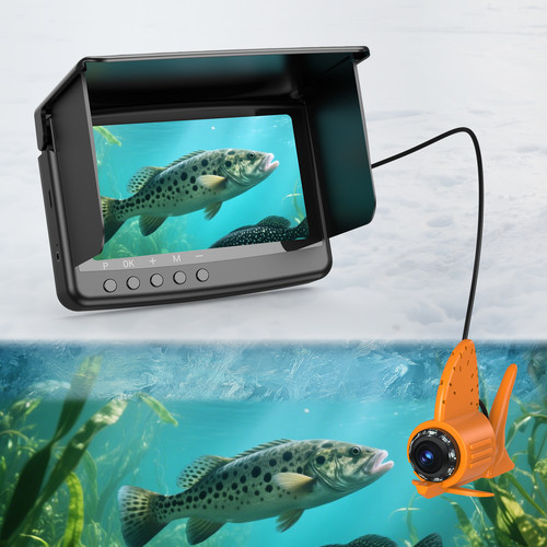 Fish finder portatile - fish,
