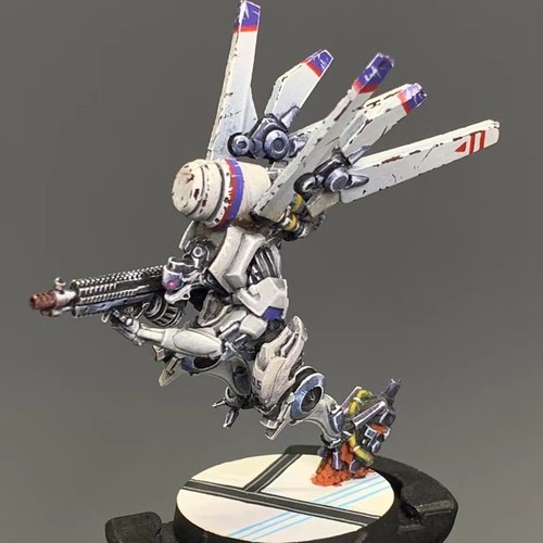Corvus belli infinity - belli,