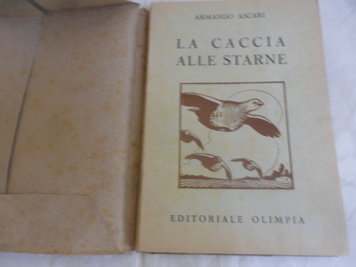 Caccia alle - "la,