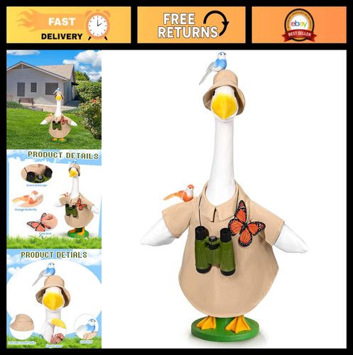 Completo oca bird watching per - completo,