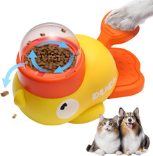 Giochi Di Intelligenza Cane