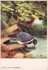 25-4C) CARTOLINA ROBERTO LEMMI COLOMBELLA EDITORIALE OLIMPIA FIRENZE N 2