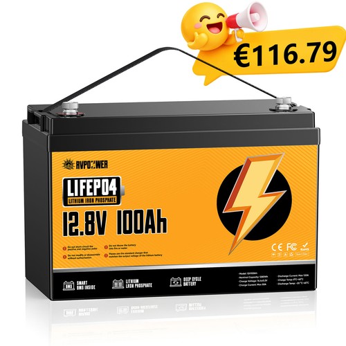 Batteria 12v 100ah lifepo4 - batteria,