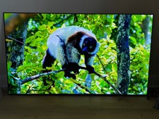 Smart TV 55 pollici LG OLED