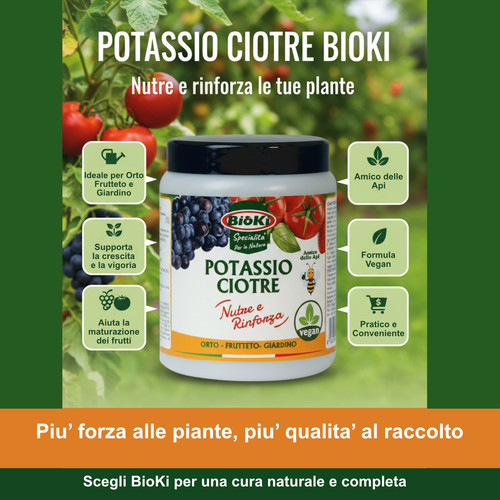 Bicarbonato potassio - bicarbonato, di