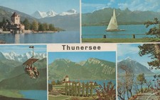 CARTOLINA  THUNERSEE OBERLAND BERNESE SVIZZERA LAGO BARCHE A VELA VIAGGIATA 1964