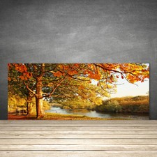 Paraspruzzi Cucina in Vetro