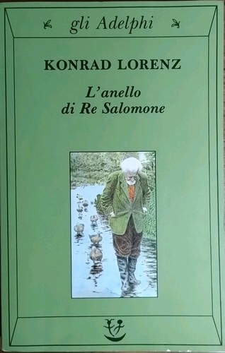 Anello re salomone - di,