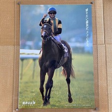 Poster corse cavalli tascabili