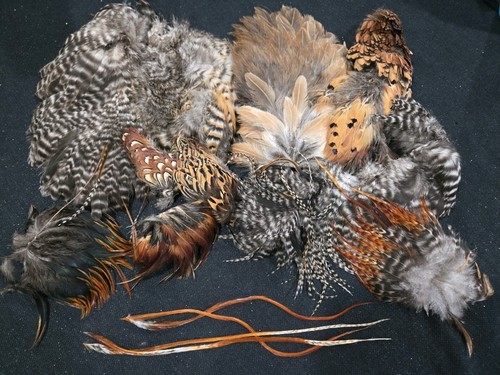 Soft hackle craft fly - hackle,