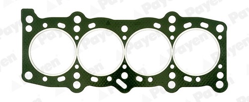 Payen guarnizione testata per - payen,