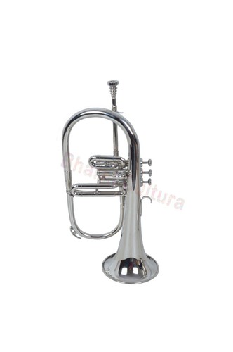 India strumento musicale